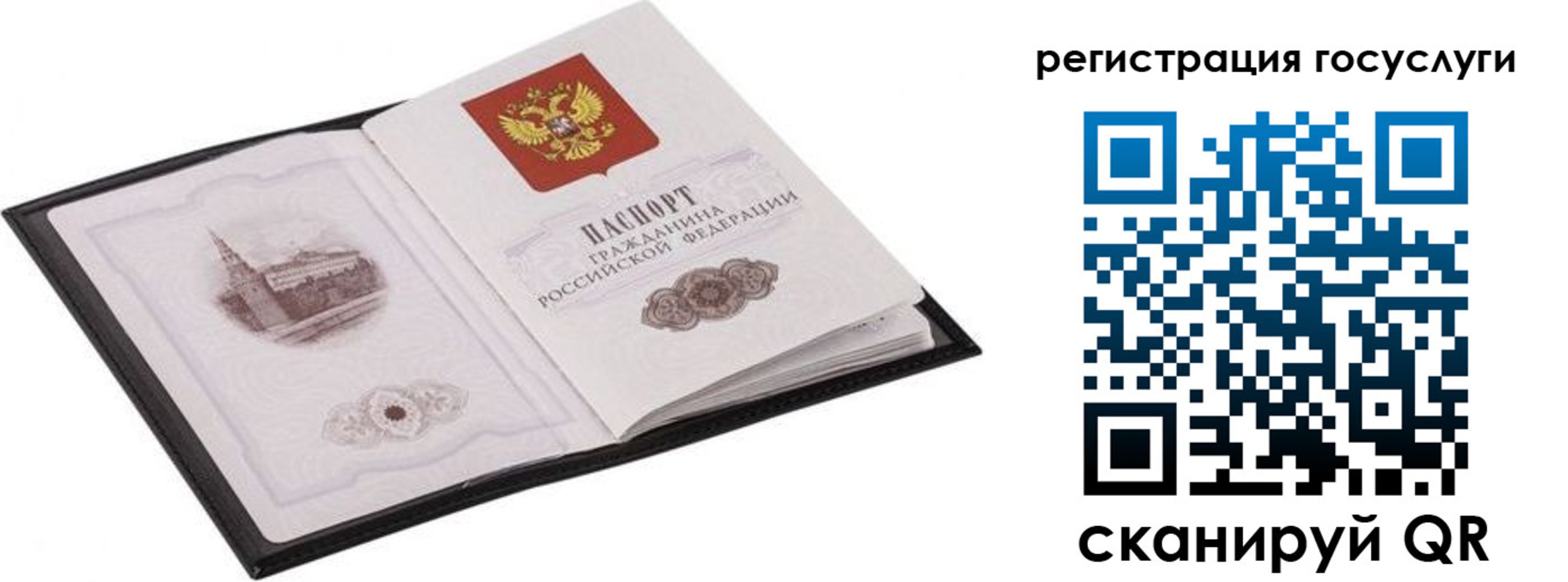 временная регистрация поиск в Тайге